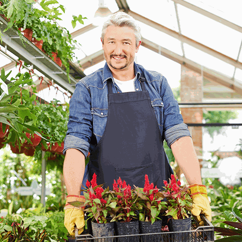 Odoo-Bild- und -Textbaustein