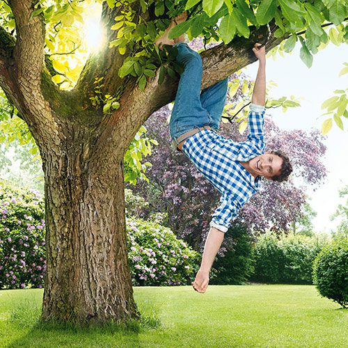 Odoo-Bild- und -Textbaustein